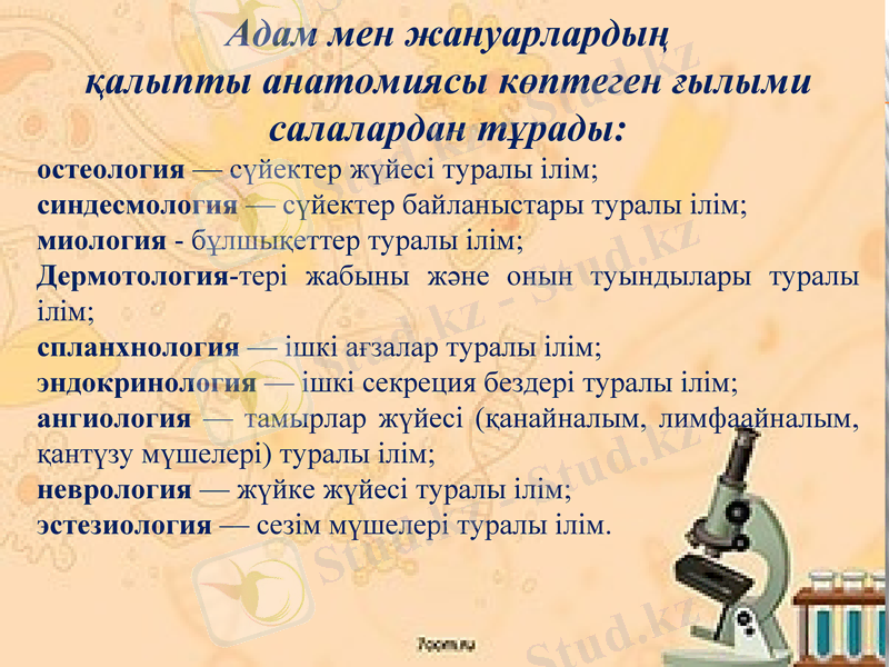 Slide 7