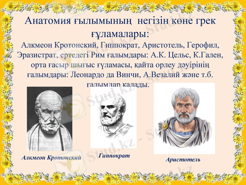 Slide 8