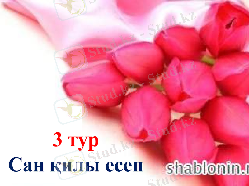 Slide 25
