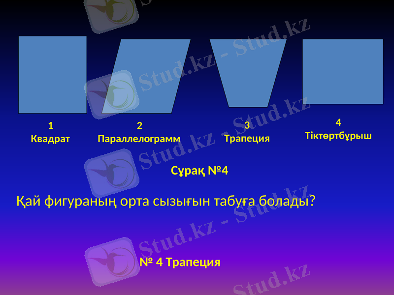 Slide 9