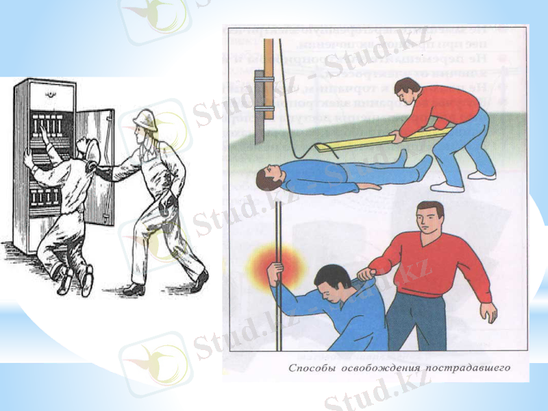 Slide 5