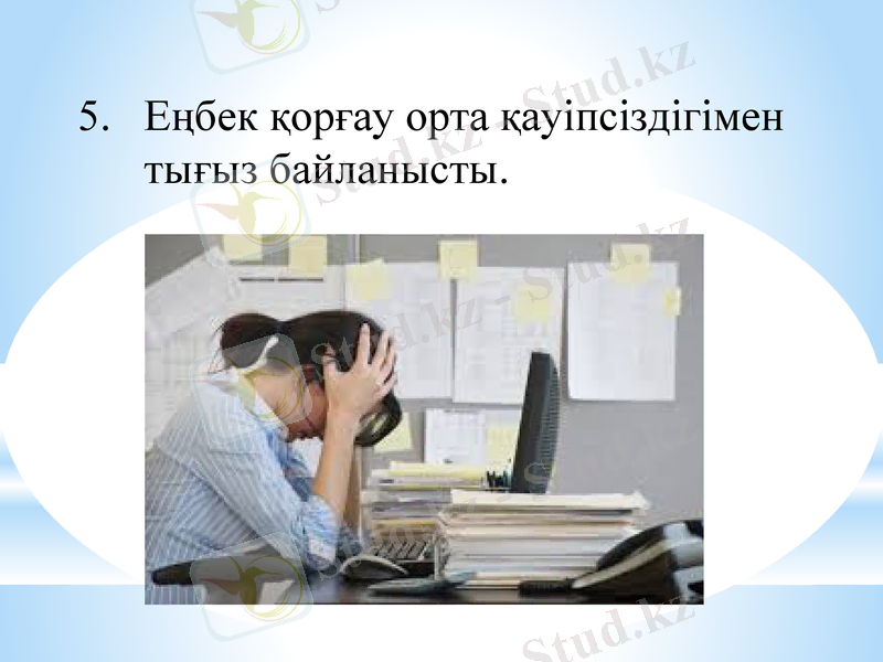 Slide 7