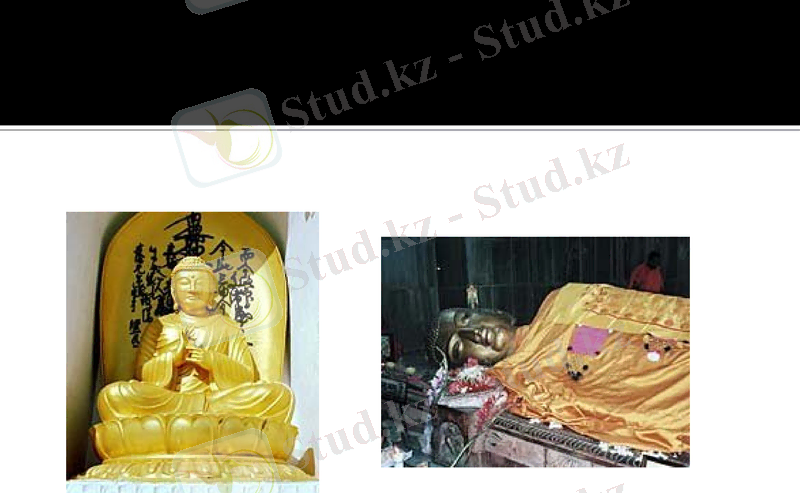 Slide 12