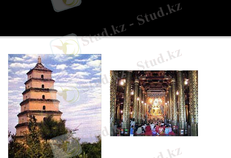 Slide 7