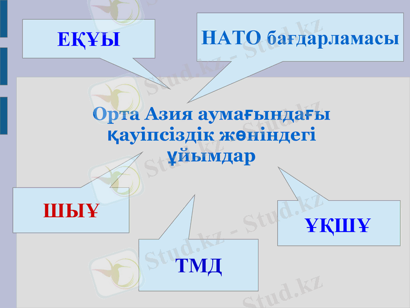 Slide 10