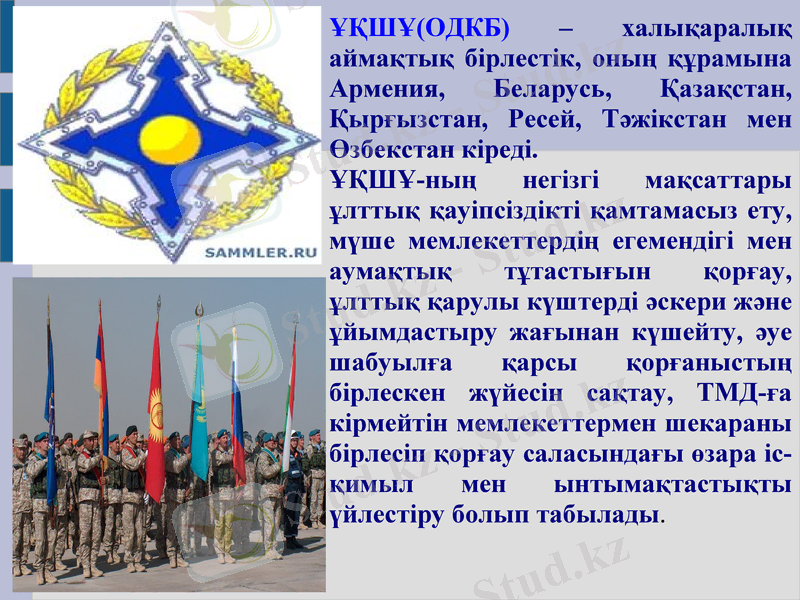 Slide 11