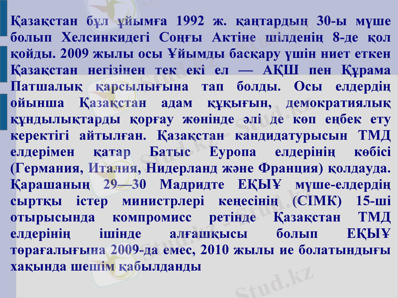 Slide 13