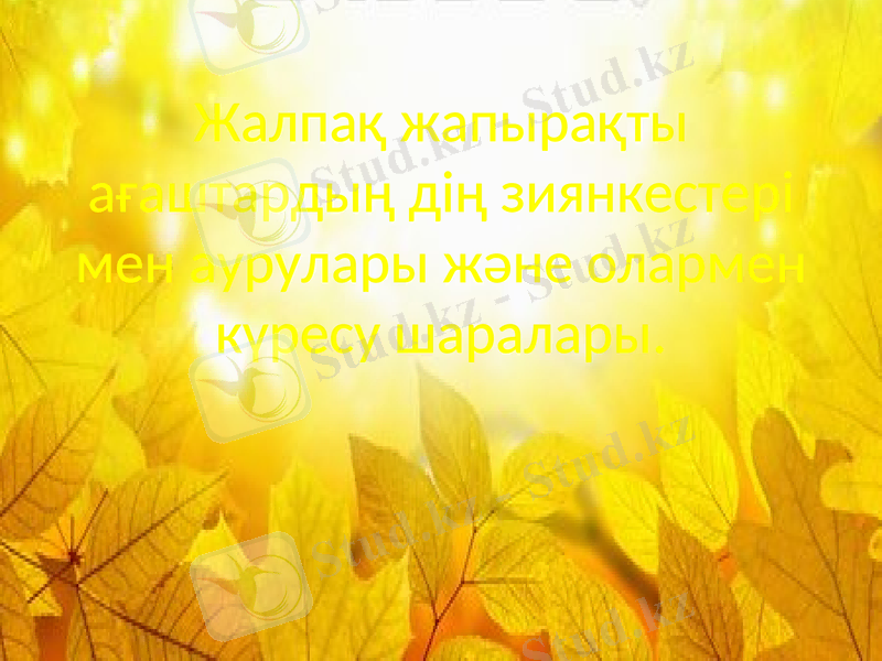 Slide 1
