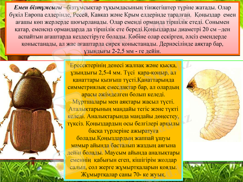 Slide 10