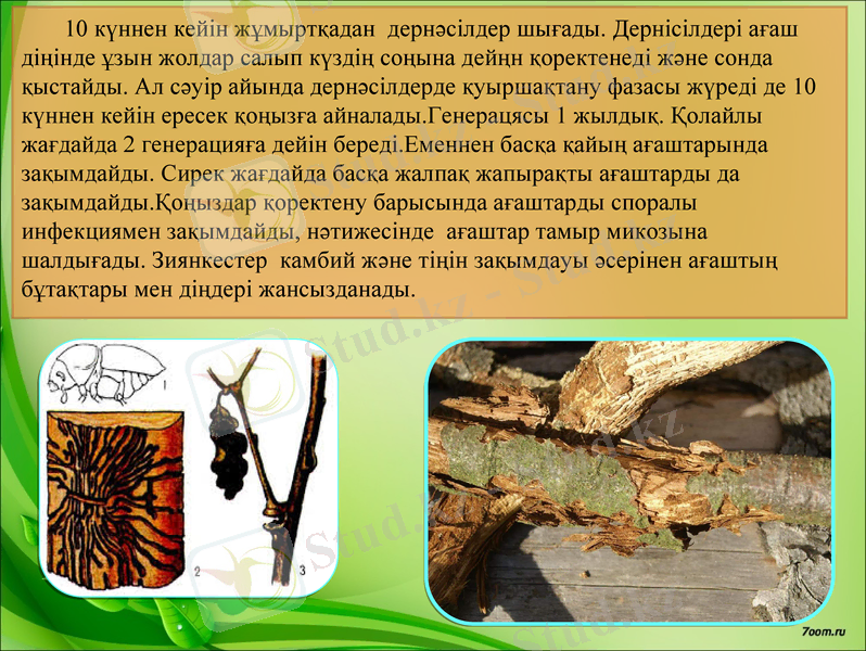 Slide 11