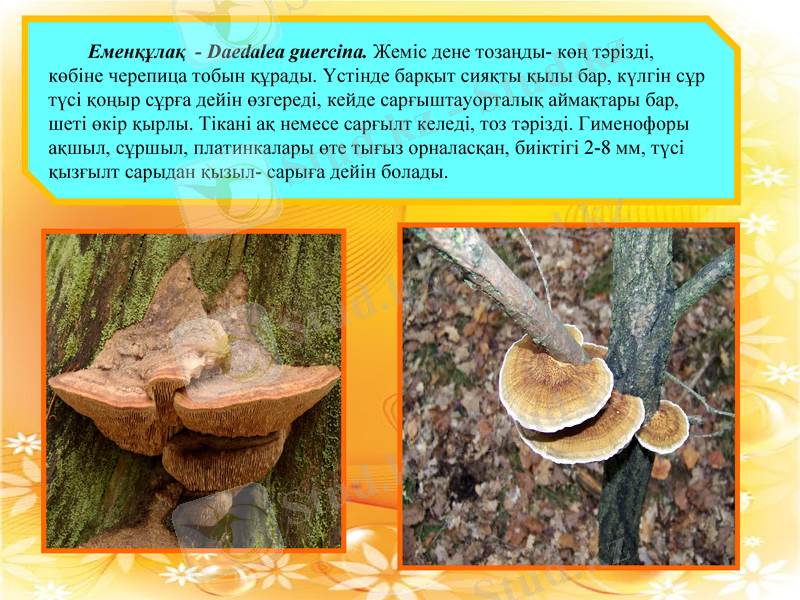 Slide 16