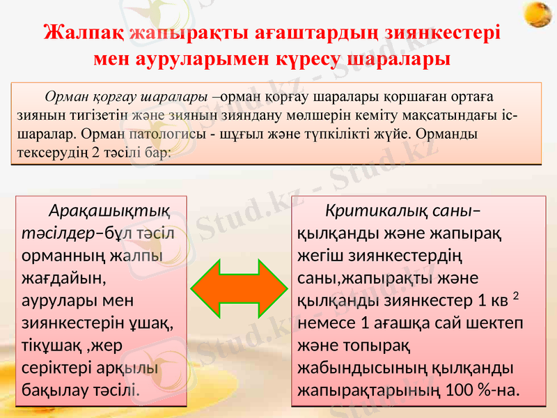 Slide 17