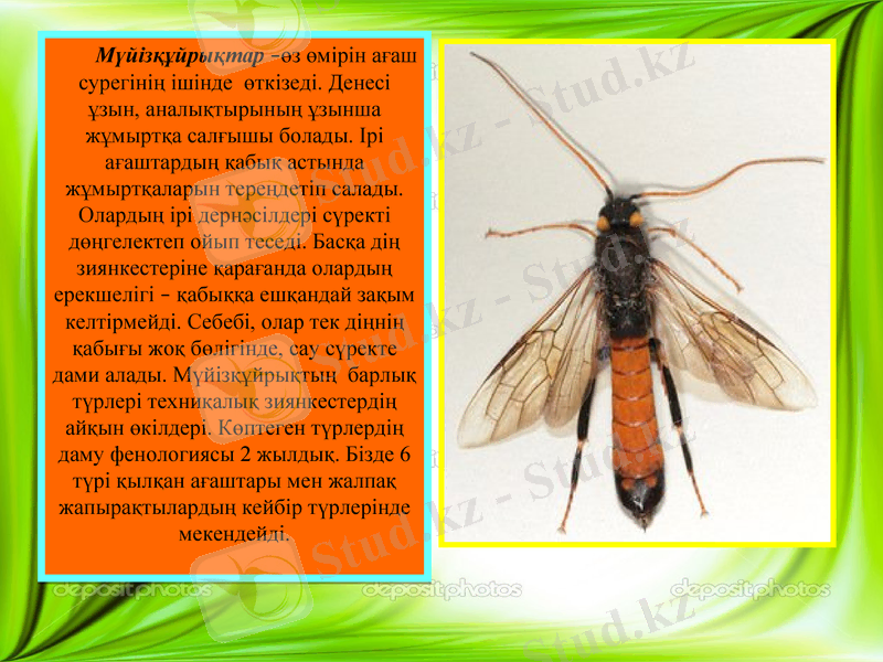 Slide 6