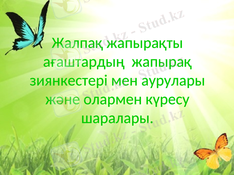 Slide 1