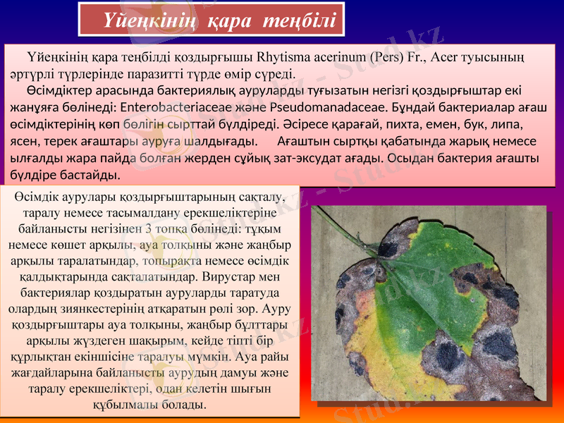 Slide 10