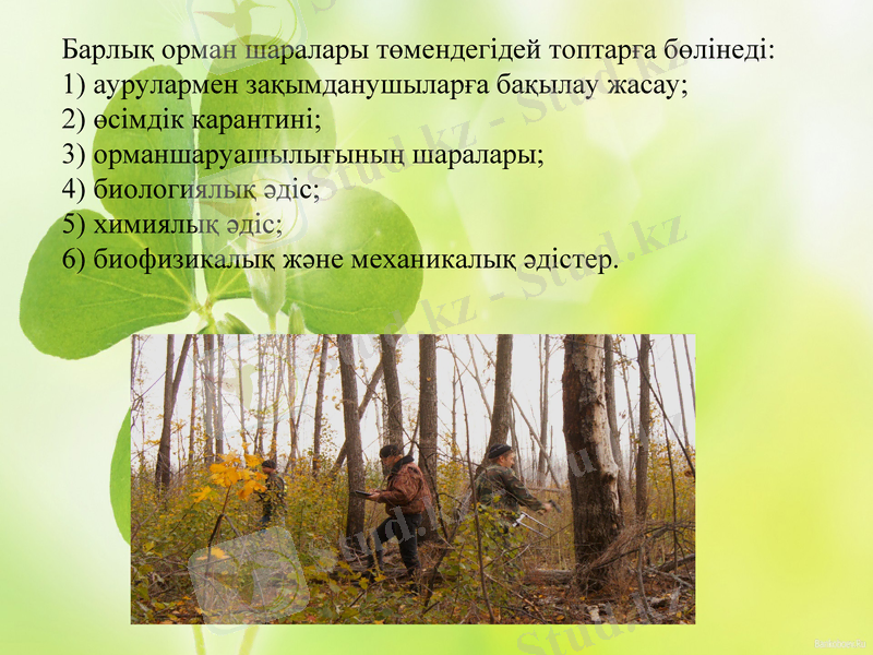 Slide 12