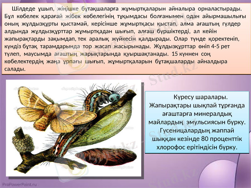 Slide 7