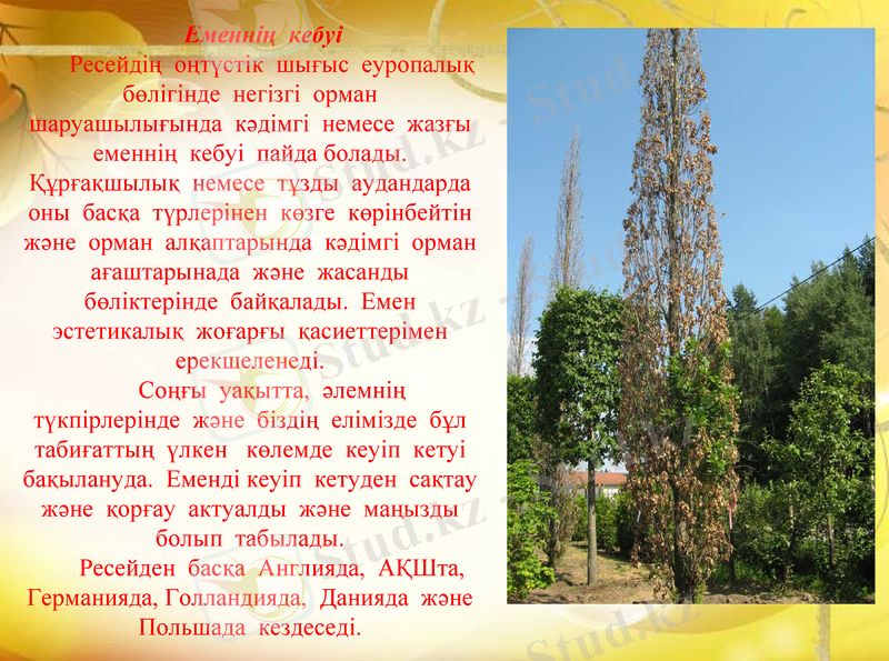 Slide 8