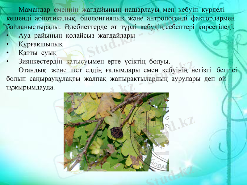 Slide 9
