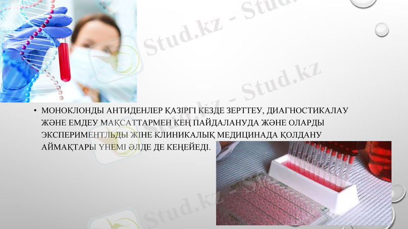 Slide 10