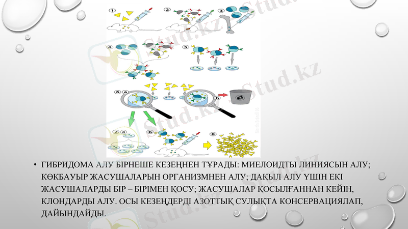 Slide 6