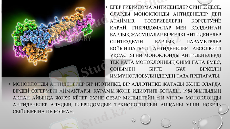 Slide 8