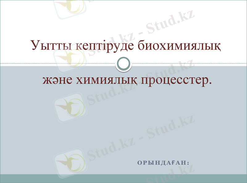 Slide 1