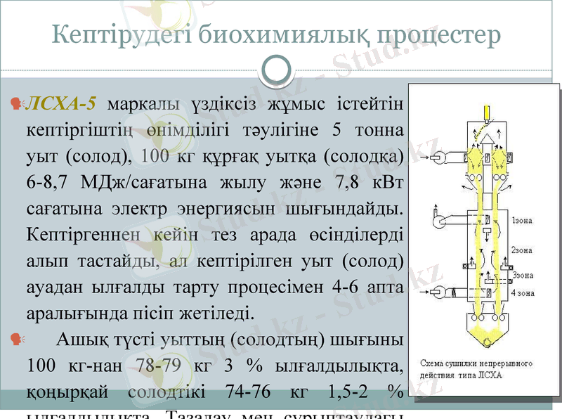 Slide 10