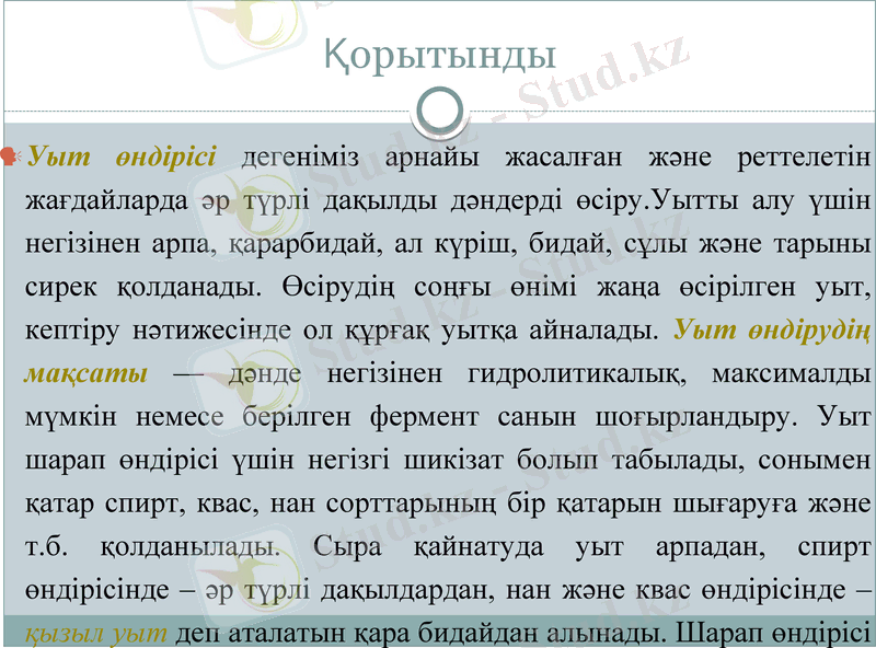 Slide 11