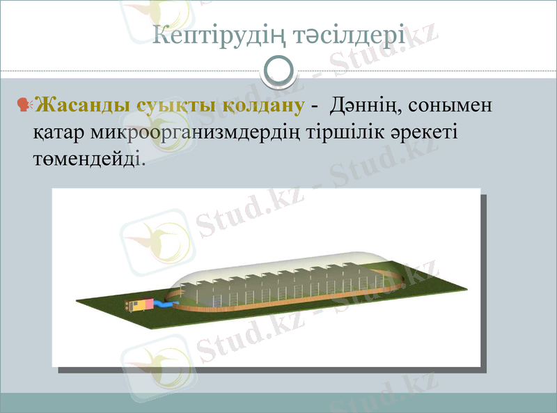 Slide 6