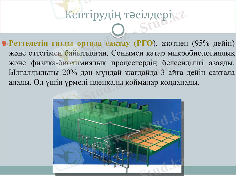 Slide 7