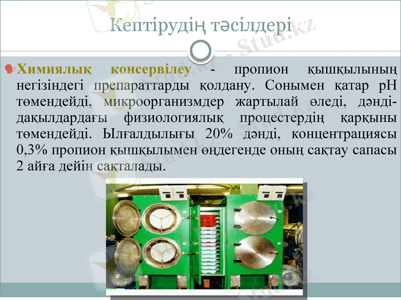 Slide 8