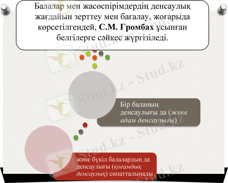 Slide 6