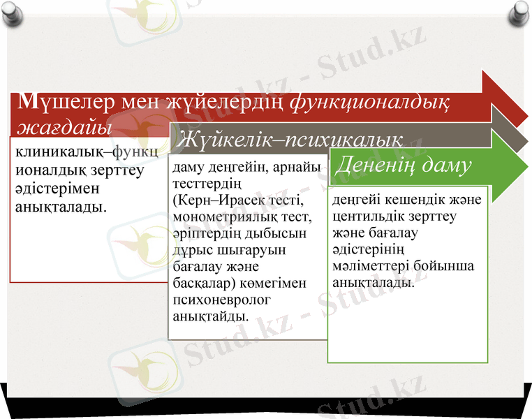 Slide 8
