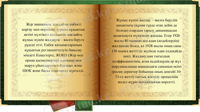 Slide 11