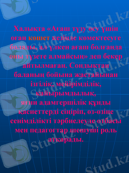 Slide 6