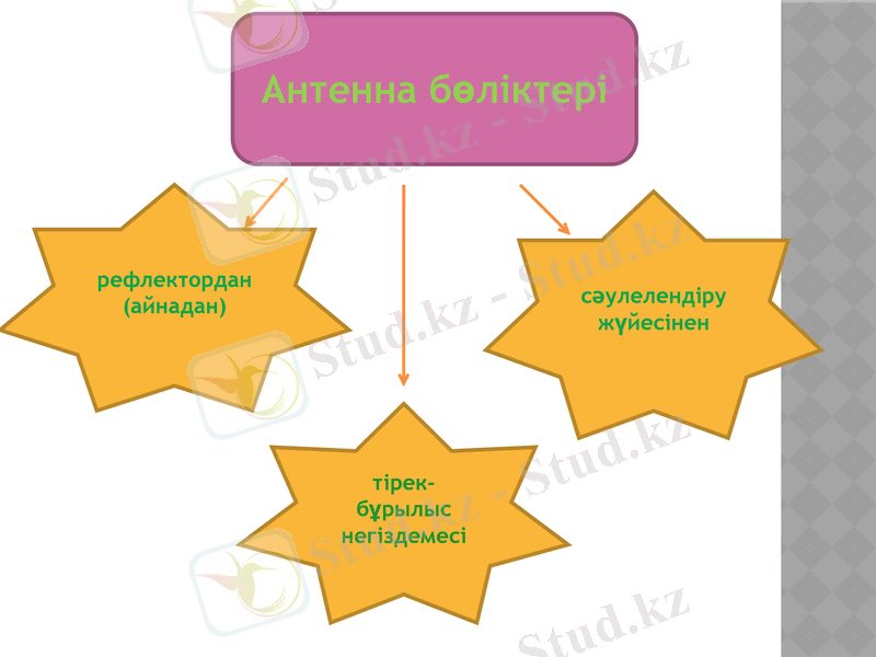 Slide 10