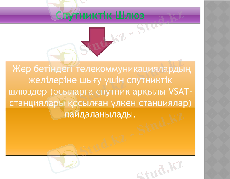 Slide 12