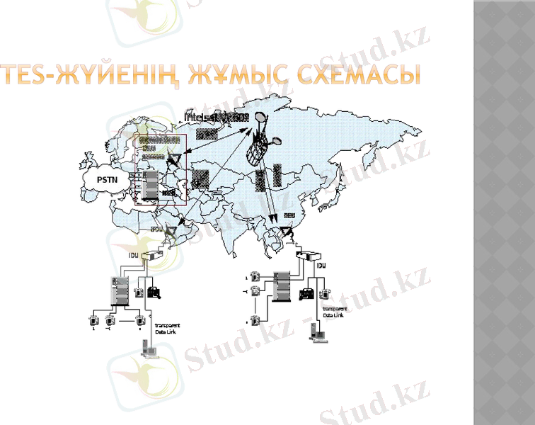 Slide 7