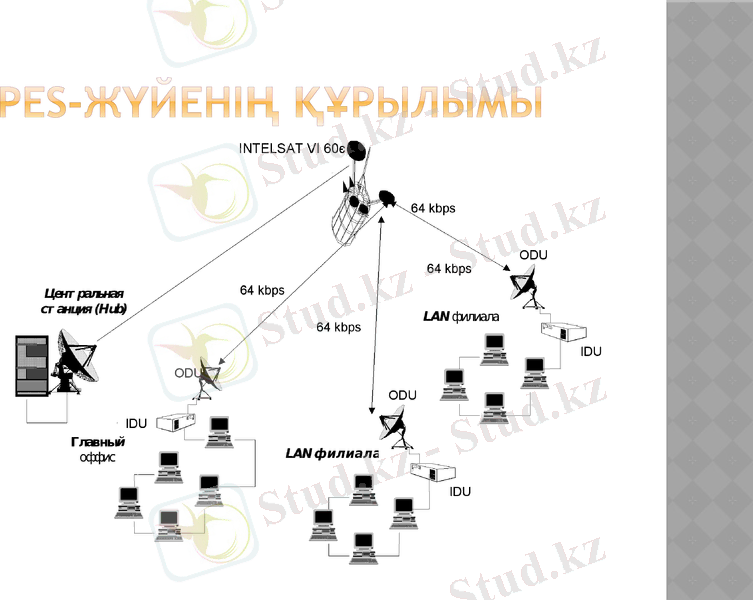 Slide 8