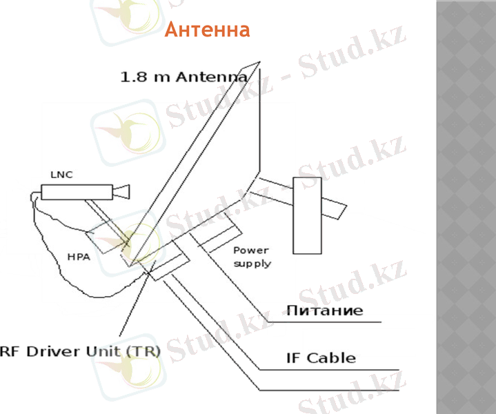 Slide 9