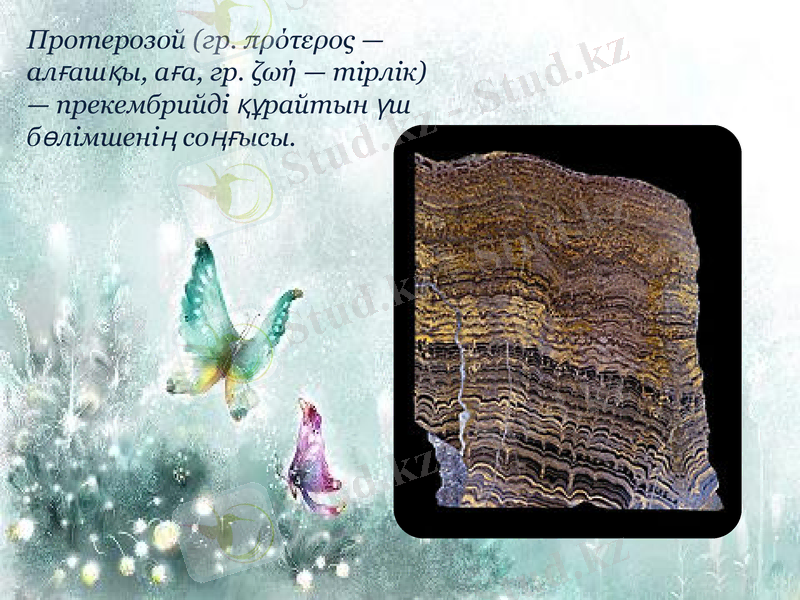 Slide 2