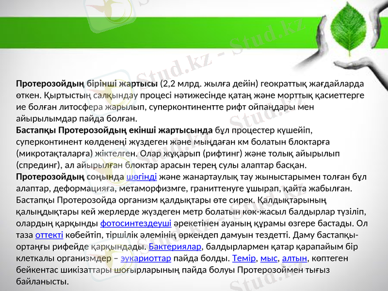 Slide 6