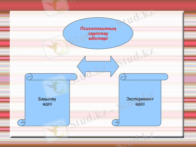 Slide 6