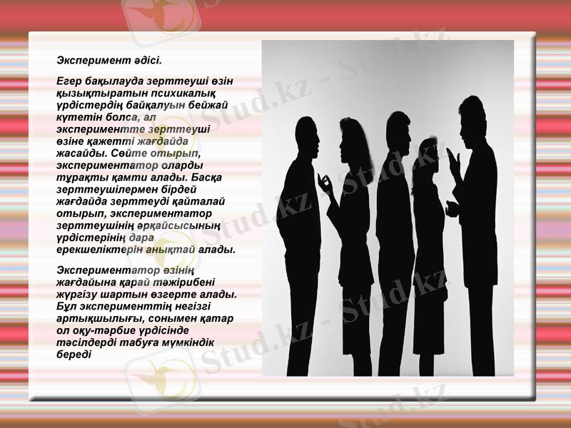 Slide 8