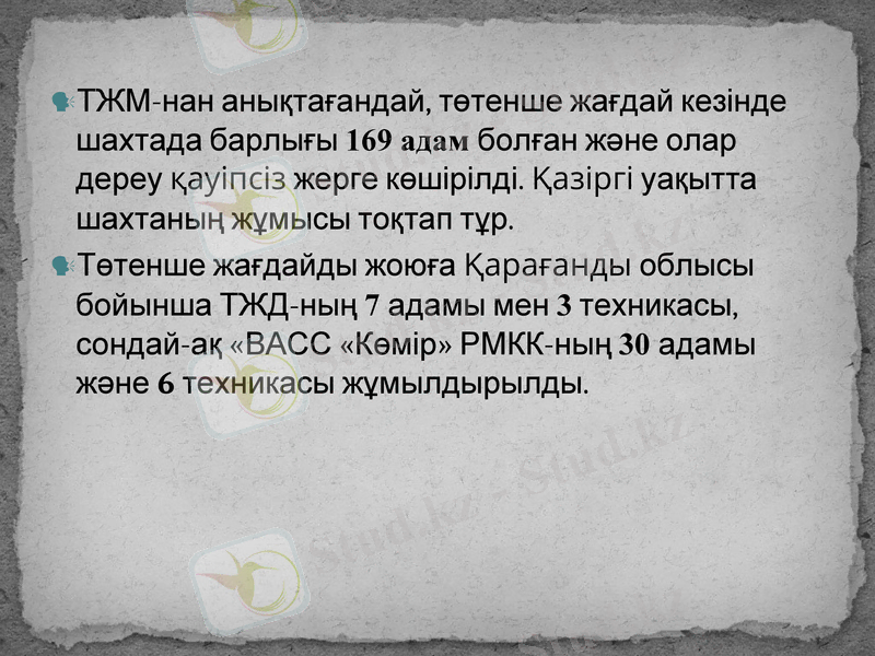 Slide 13
