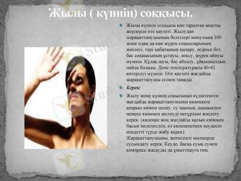 Slide 23