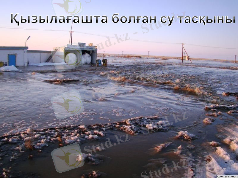 Slide 9