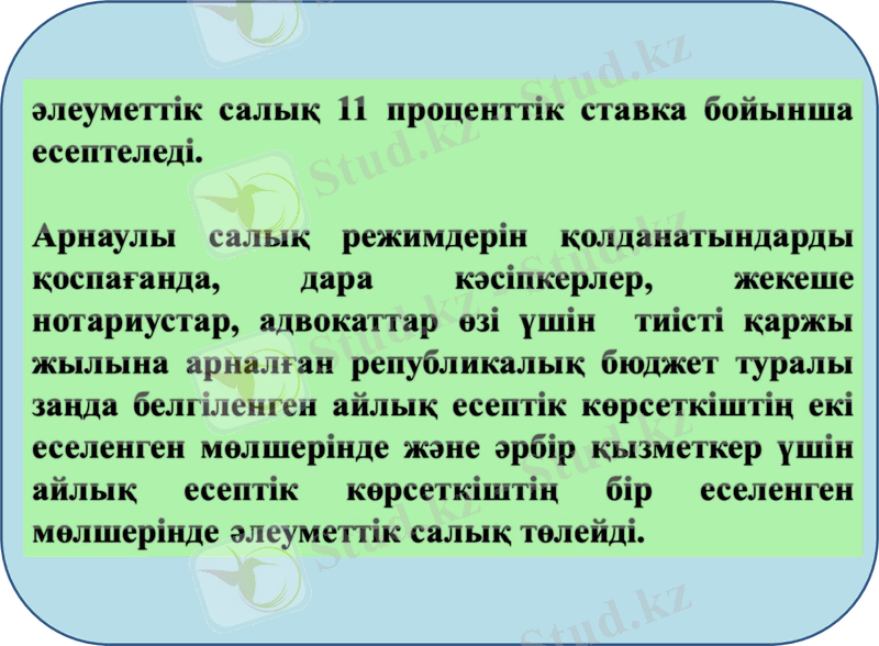 Slide 8
