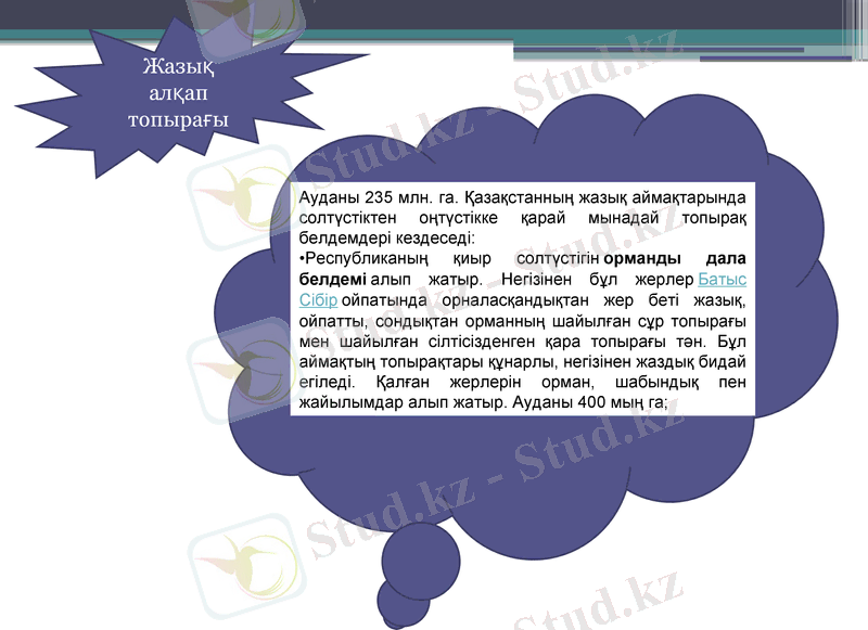 Slide 9